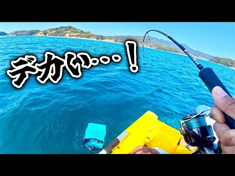 画像 春到来⁉︎ やっと大物が釣れ出したボート釣り！