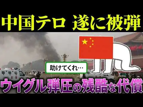 画像 中国「ウイグル人は奴隷だ！」→結果、報復されてしまう…【海外の反応＆ゆっくり解説】
