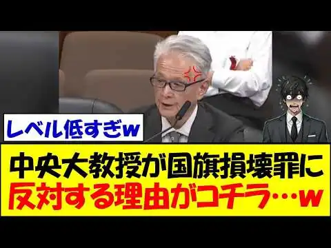 画像 国会参考人の中央大学教授、トンデモ理論で国旗損壊罪に反対してしまうｗｗｗ