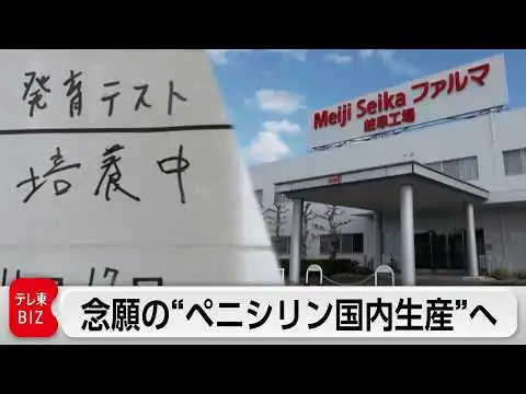 画像 30年ぶりにペニシリンを日本国内で生産！定年間近のベテラン技術者が挑む培養の現場に密着