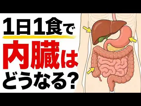 画像 1日1食にすると内臓に何が起こる？（時間ごとに解説）